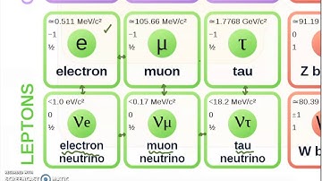 Lecture: Standard Model & Conservation Laws