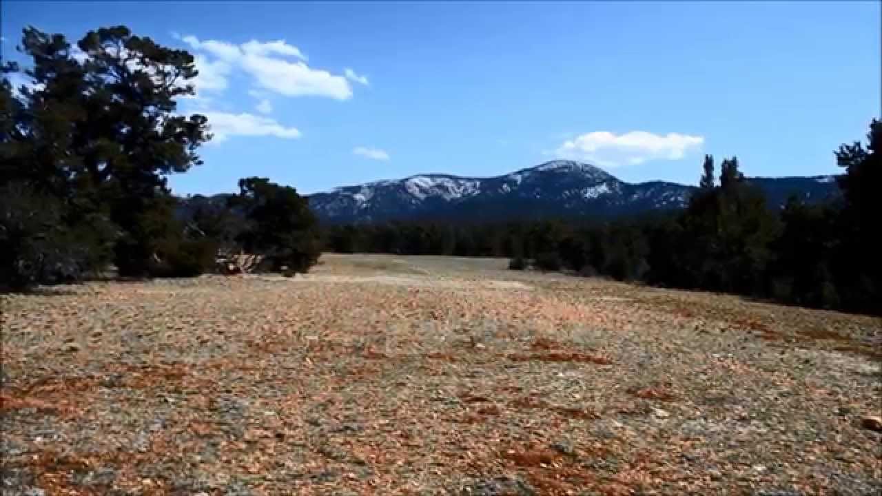San Bernardino Mountains Land Trust 2014 YouTube