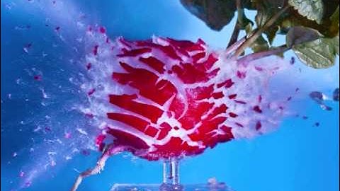 1 million fps Slow Motion video Bullets Impacts