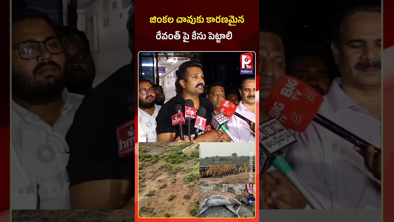 జింకల చావుకు కారణమైన రేవంత్ పై కేసు పెట్టాలి | Manne Krishank Cpmments On CM Revanth Reddy | P TV