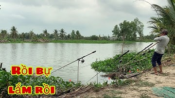 Câu Cá Tra Sông | Pen Cần Cái Cá Bự Rồi Bự Lắm Rồi | Fishing Miền Tây