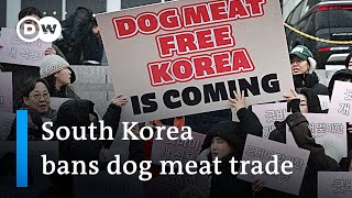 Eating and selling dog meat is to become illegal in South Korea | DW News