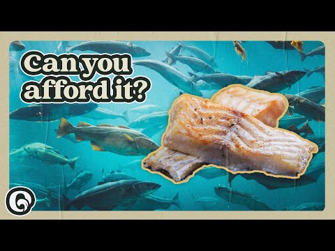 How Atlantic Cod Became So Pricey