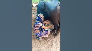 Taro phone aave ne thay Raman Bhaman #2023 #gujarati #trending #newsort #viraltrend #sort