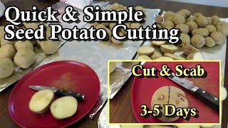 Potato Planting Time! - How to Cut &amp; Scab Your Potatoes for More Potatoes to Plant in Your Garden