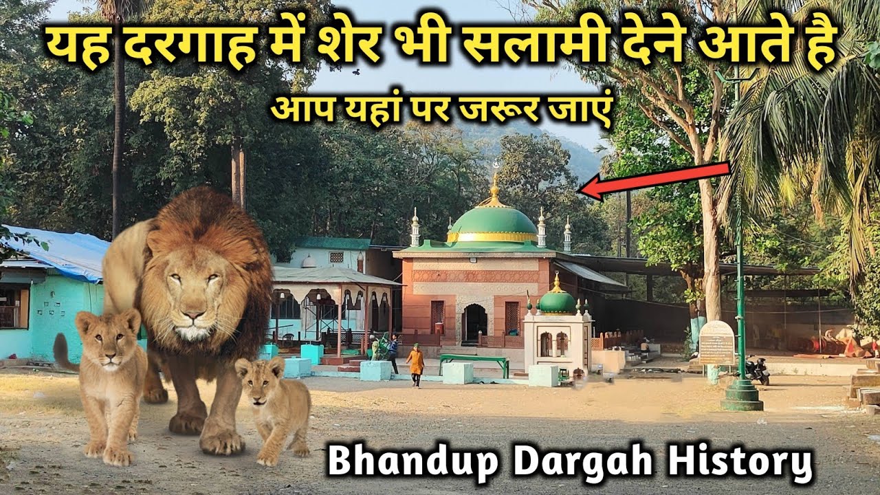 यह दरगाह में शेर भी सलामी देने आते है | Hazrat Gaiban Shah Baba | Bhandup Dargah | NRQV. 