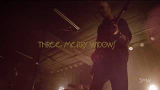 Three Merry Widows - &quot;Which Dreamed It?&quot;