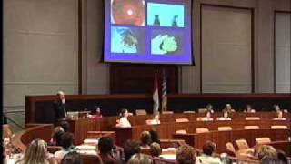 The Effects Of Pneumococcal Meningitis