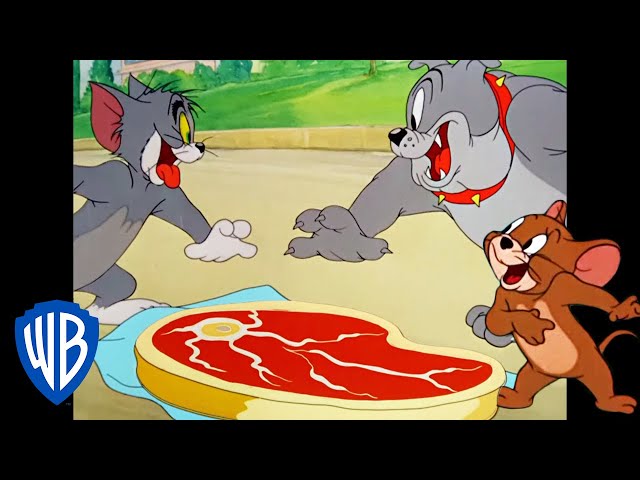 Tom and Jerry - Present Simple and Continuous