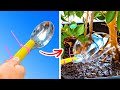 Simple Gardening Hacks That Will Come In Handy