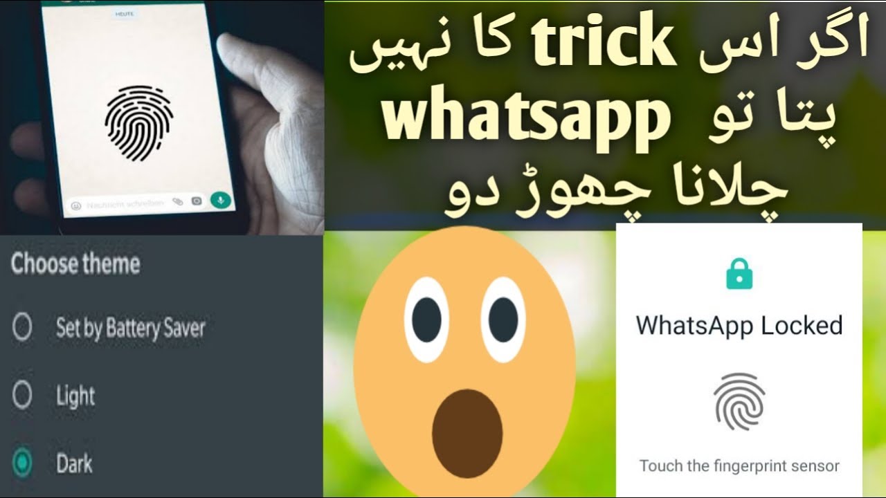 whatsapp update 2020