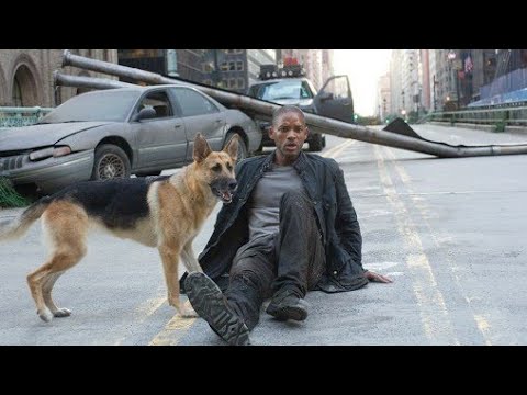 Mən Əfsanəyəm (I Am Legend) - Yoluxmuş Itlər (Azerbaycan Dilinde)