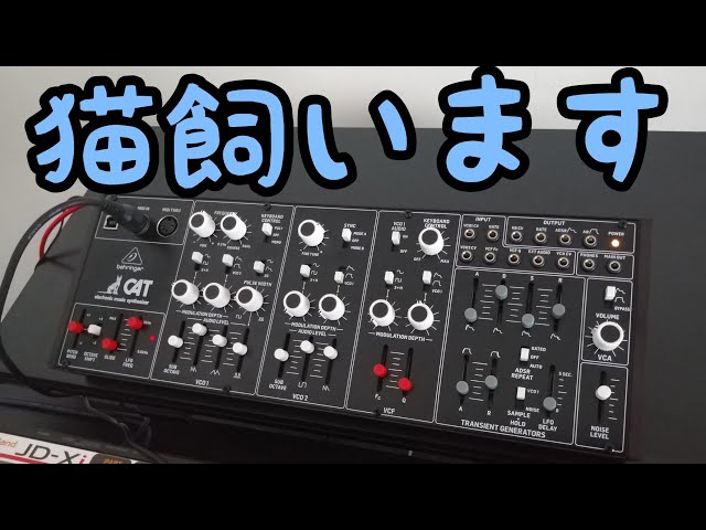 behringer CAT レビュー！ - YouTube