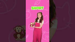 İngilizcede Zıt Kelimeler 1