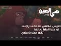 ياست الناس هاعيش مداس انا تحت رجليك امي ياست الناس هاعيش مداس انا تحت رجليك امي