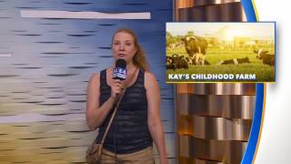 State Fair Experience Day 11 Session 61