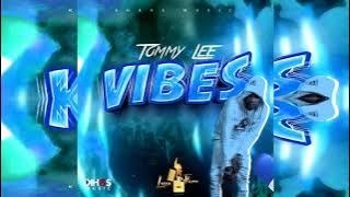 Tommy Lee Sparta - VIBES