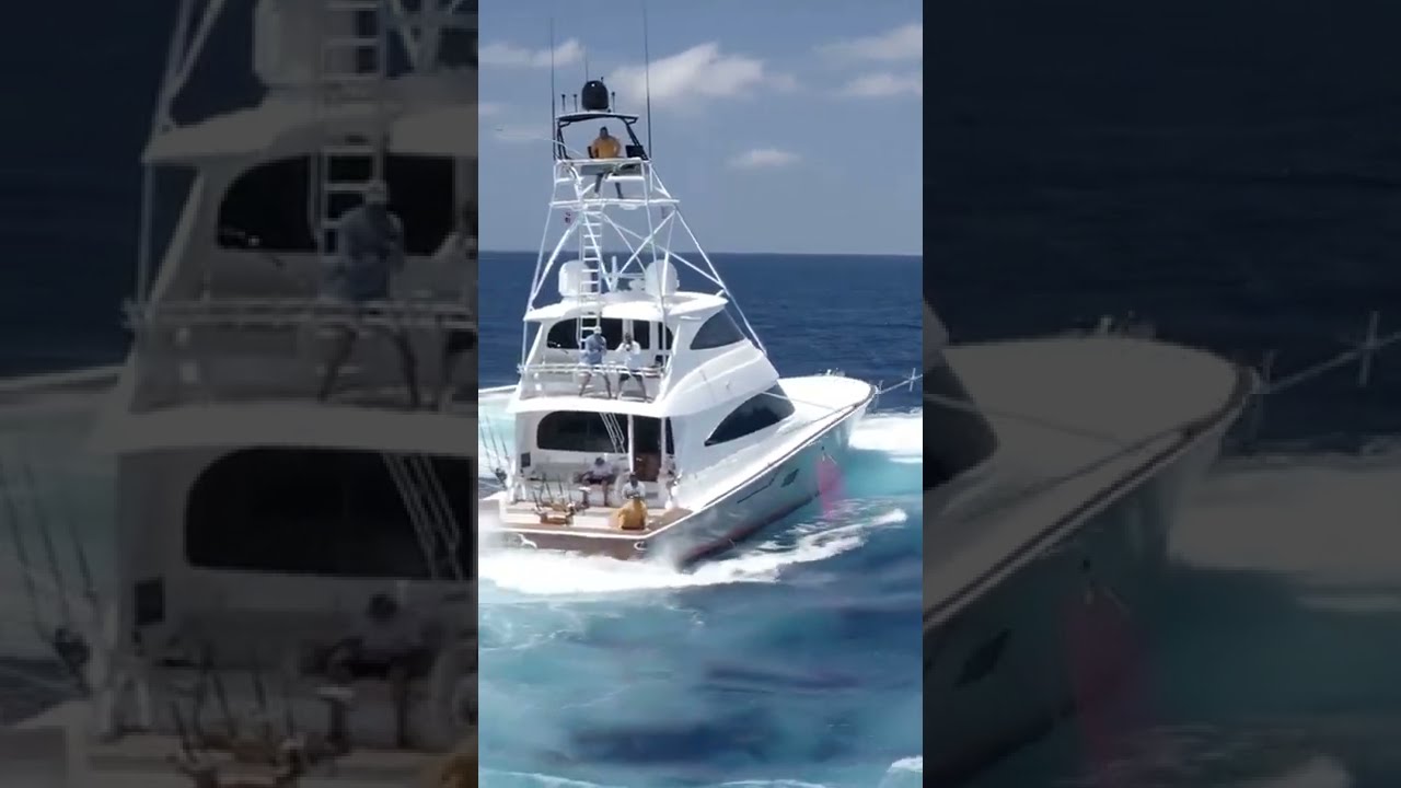 Speed Boat And Blue Marlin Action