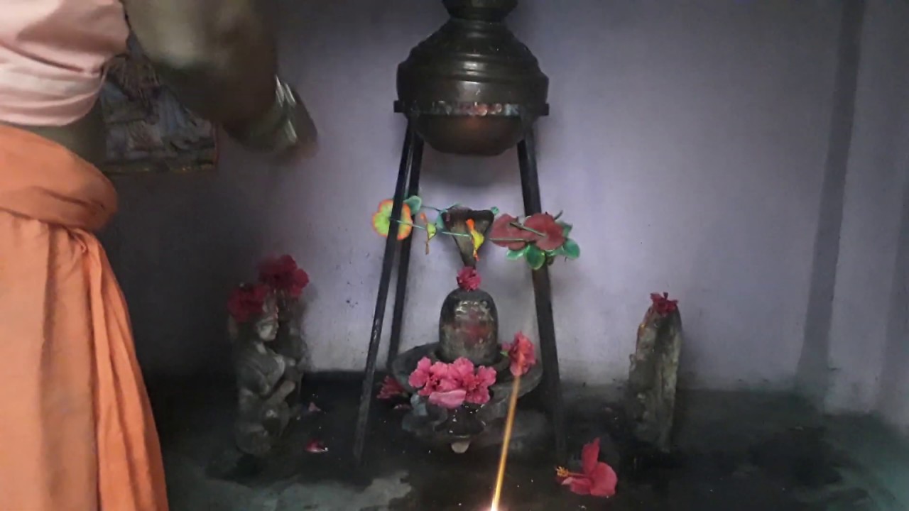 Shiv Sankar Pujan || Tripurari Devi Temple Nathujala KOTABAGH || - YouTube