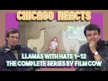 Llamas with Hats 1-12 The Complete Series By Film Cow - Chicagoans React