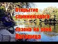 Открытие спиннингового сезона на реке Латорица (Закарпатье). Необычный "белый" хищник.