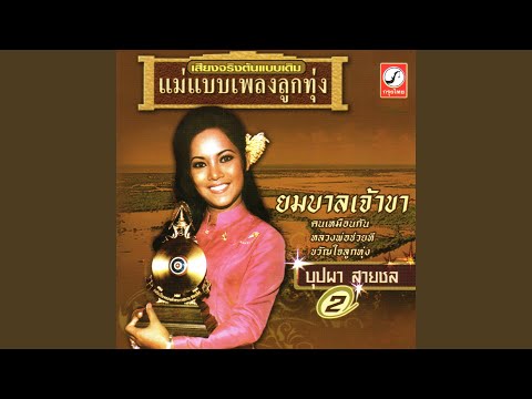 คนเหมือนกัน