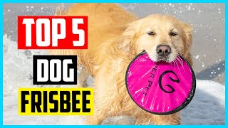 ✅ best dog frisbee 2024