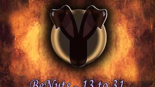 BeNuts - 13 to 31