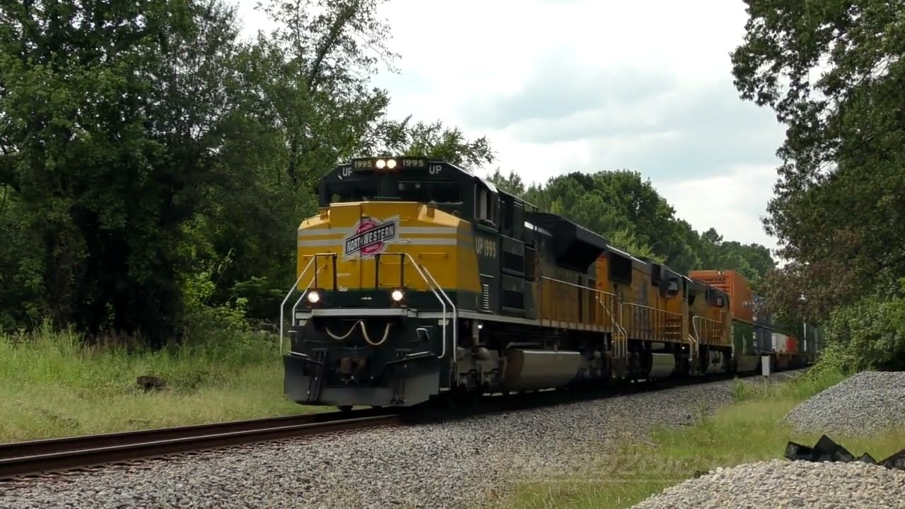 UP 1995 leads the Z-LAMN