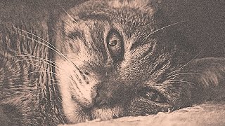 "No.02" - Dope Old School Hip Hop Instrumental Rap Beat