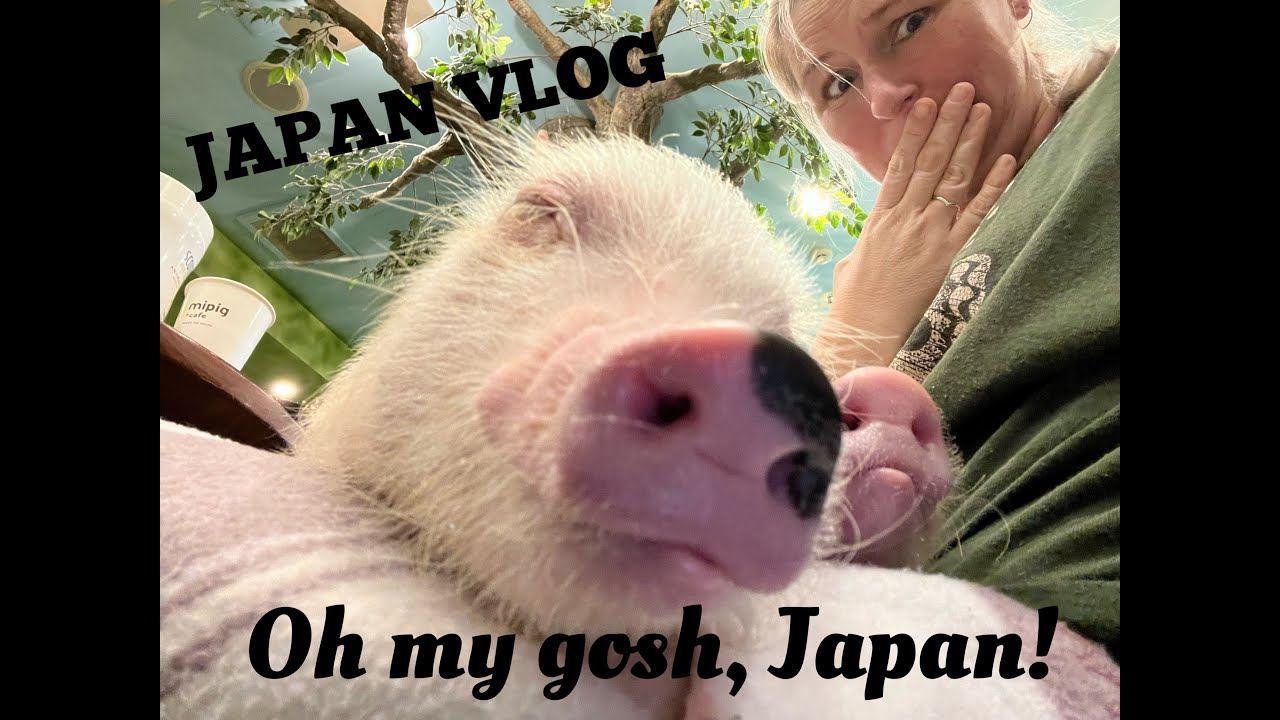 japan-vlog-huge-bookstore-tiny-pigs-youtube
