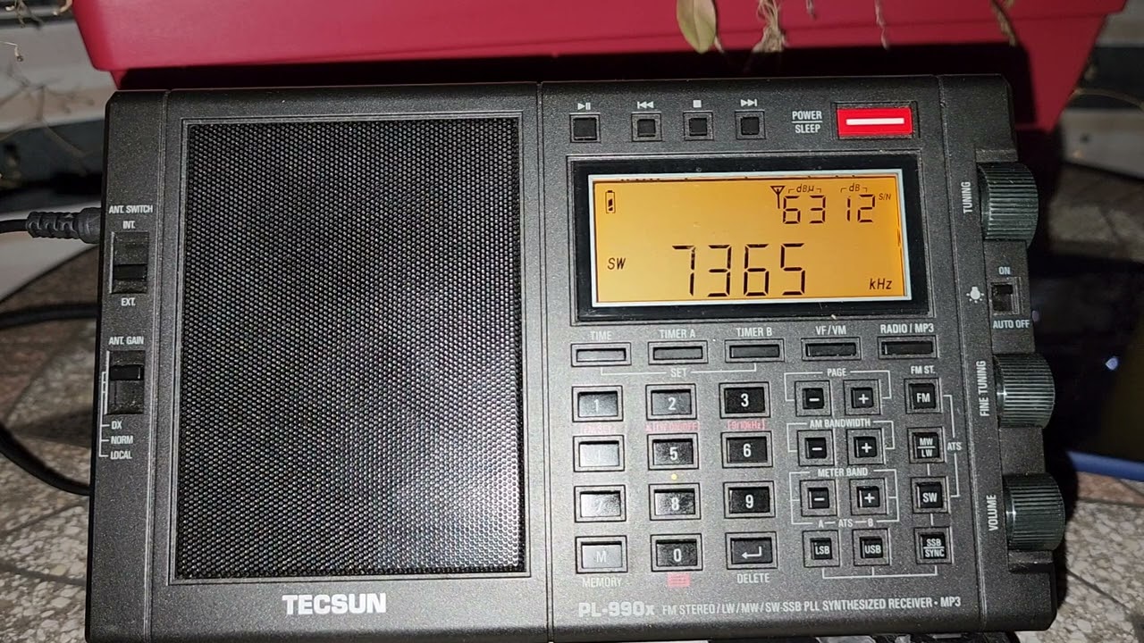 Shortwave jamming, what do they usually broadcast to jam other stations