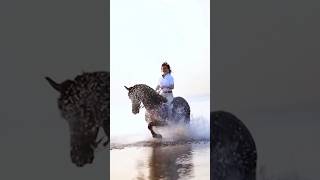 cute girl riding a horse on the beach 😍😍#viral #beauty #horse