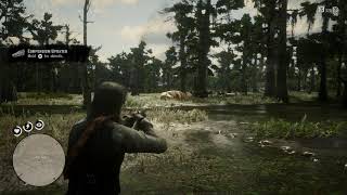 Red Redemption 2 All Legendary Animals Legendary Bullgator