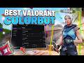Using This Valorant Colorbot Made Me Unstoppable! (INSANE)