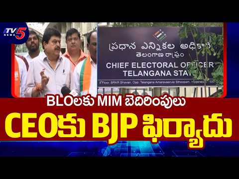SIR ప్రక్రియ పై CEO కు ఫిర్యాదు చేసిన బీజేపీ నేతలు BJP Leaders Meet CEO | Ramachandra Rao | Tv5 News - TV5NEWS