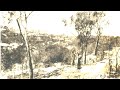 The cardwell tiger shootings in the early 1900s in north queensland