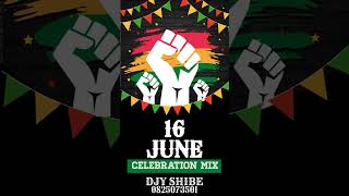 DJy Shibe 16 June Mix