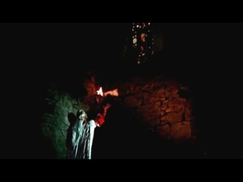 \"მამლუქი\" - ცირა და ხვიჩა შორეულ ეგვიპტეში (mamluqi)