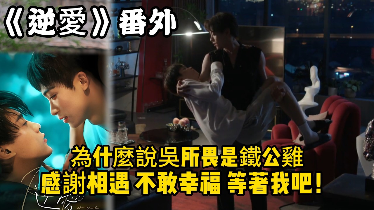 《逆愛》：番外！（45）為什麼說吳所畏是鐵公雞，感謝相遇，不敢幸福 等著我吧！#田栩宁 #梓渝 #吴所畏 #池骋 #逆爱 #revenged