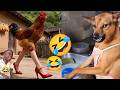 🤣 You Laugh, You Lose Challenge 😂150 Funniest Viral Videos On The Internet | Impossible Not To Laugh