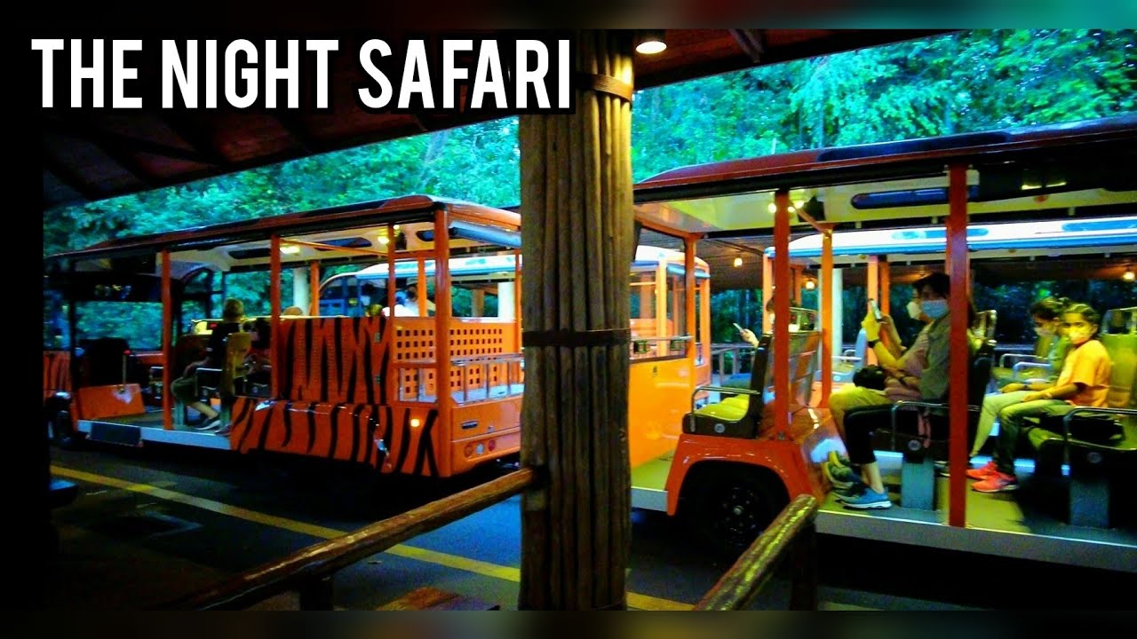 night safari tram