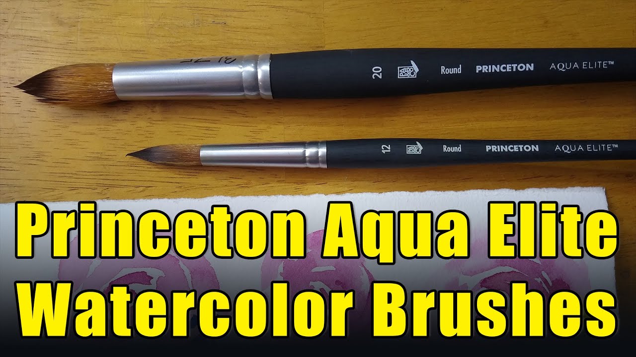 Princeton Aqua Elite Brush Review - Doodlewash®