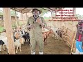 Besic requirements of starting goat farming project