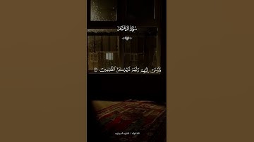تلاوه هادئه للقارى هاني العزوني#اكتب_شي_تؤجر_عليه #لايك  #كرومات_قرآن#راحة_نفسية
