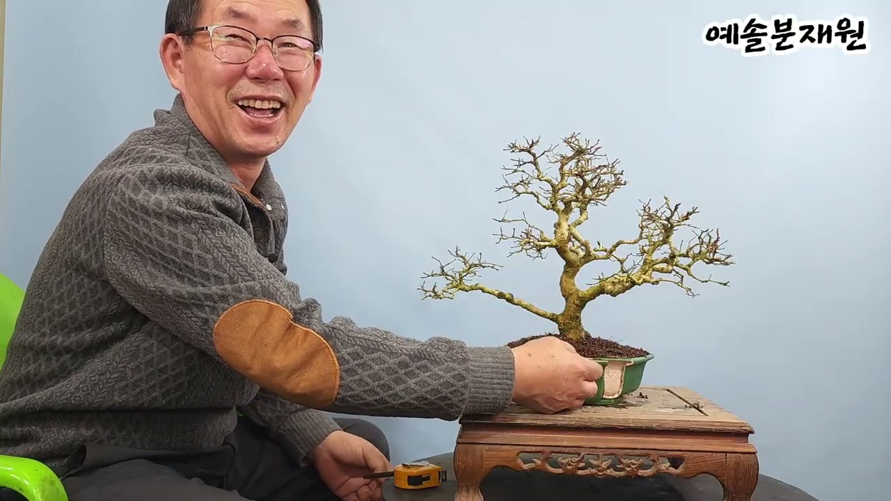 분재관리 634강 분의 동파-무엇이 문제인가?