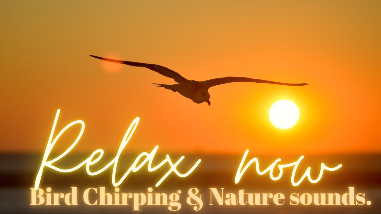 Birds Chirping along with Nature sound effects, ENJOY in the morning