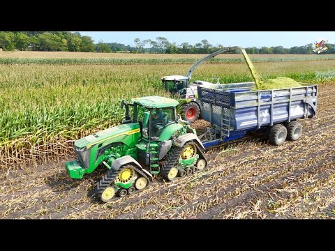 Chopping Corn Silage Near Greenville Ohio September 2025