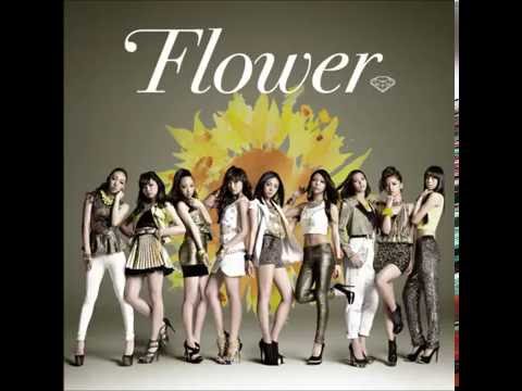 Flower 太陽與向日葵專輯