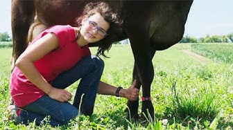 We Put Fitness Trackers on Cows | Organic Valley